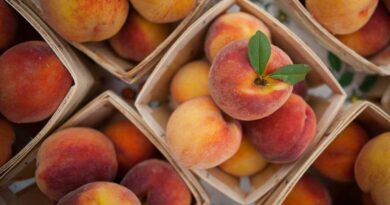 Here are 5 health benefits of peaches