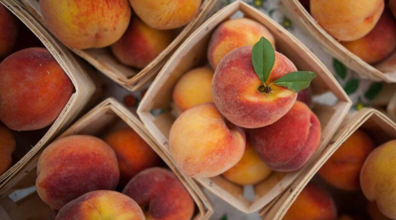 Here are 5 health benefits of peaches