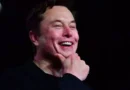Political leaders have invited Elon Musk to set up a Tesla plant in their states.