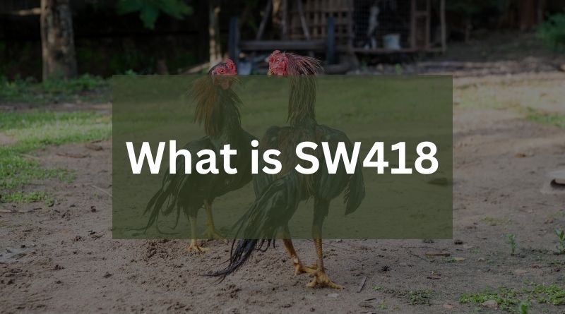 What is SW418