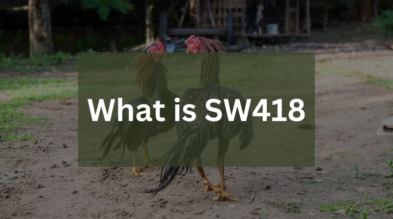 What is SW418