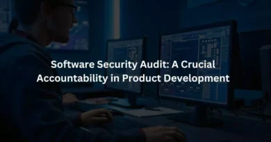 Software Security Audit