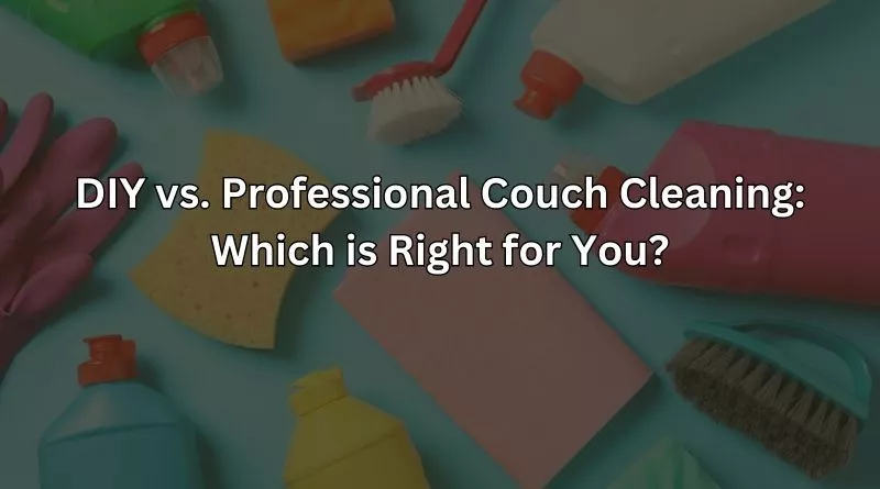 DIY vs. Professional Couch Cleaning